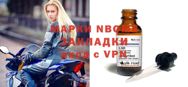 стаф Алзамай