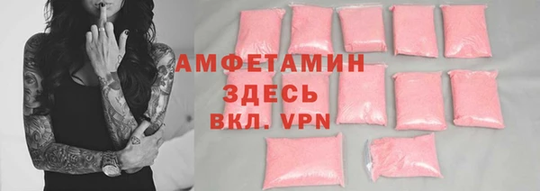 стаф Алзамай