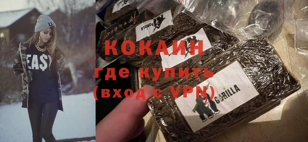 стаф Алзамай