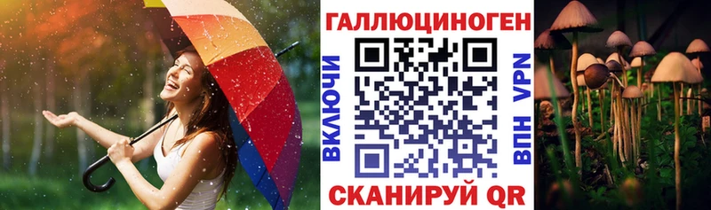 Псилоцибиновые грибы Magic Shrooms  хочу   Данилов 